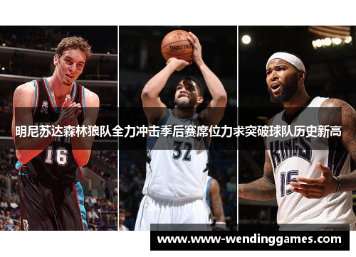 明尼苏达森林狼队全力冲击季后赛席位力求突破球队历史新高