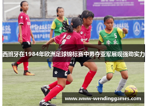 西班牙在1984年欧洲足球锦标赛中勇夺亚军展现强劲实力